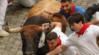 Senza incidenti la prima corsa con tori a san Fermin a Pamplona
