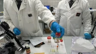 Ragazza morta 30 anni fa, ok a prelievo Dna sull'ex fidanzato