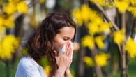 Allarme degli esperti, allergie per 1 persona su 3