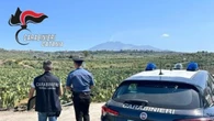 Corpo 87enne mummificato a casa, non si vedeva da anni