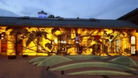 Torino accende le Luci d'Artista, quattro le nuove opere
