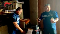 Sequestrate dal Nas 674 chili di conserve a rischio botulino