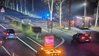 Bimba morta A5: Procura indaga su omicidio stradale e fuga