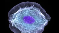 Scassinata la serratura delle cellule per introdurre farmaci