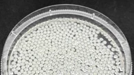 Microsfere vegetali catturano i grassi nell'intestino VIDEO