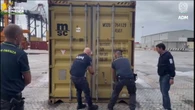 Sequestrata nel porto di Gioia Tauro una tonnellata di marijuana