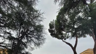 Urban Drawing, le architetture della Sapienza come segno d'arte