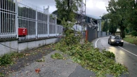 Albero crolla per il vento, danni allo stadio Picco della Spezia