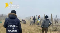 Ha impiegato 22 lavoratori in nero e 25 irregolari, sanzionato