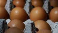 Decine di intossicazioni da cibo in tre settimane nel Reggiano
