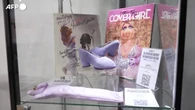 Dai Muppet, le scarpe di Miss Piggy messe all'asta