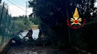 Maltempo, acquazzone smorza caldo a Firenze ma cadono alberi