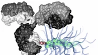 Nuove armi anticancro da nanoparticelle insolite