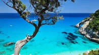 Consumatori, prezzi proibitivi, fino 950 euro per voli Sardegna