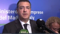 Dazi, Tzitzikostas: "Faremo di tutto per proteggere l'industria europea"