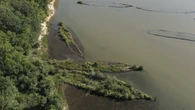 Missili e relitti di guerra diventano habitat per specie marine