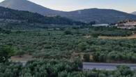 Incendio Raiano, fiamme circoscritte al sottobosco