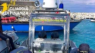 Soccorsa una tartaruga Caretta Caretta alle Isole Tremiti