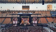 Elisa green riempie San Siro di fiori e piante