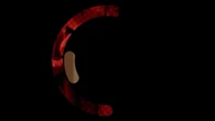 "Siamo serie": Squid game, Il Corpo e Una relazione passeggera