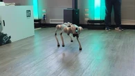Visita al Robotic Joint Lab (fonte: Leonardo De Cosmo)