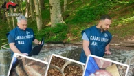 Cibo scaduto da 20 anni, ispezioni Nas nei rifugi in Appennino