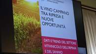 Vinitaly, Irpinia e Sannio pronti all'appuntamento di Verona