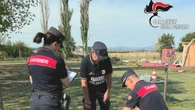 Forestali sequestrano cani in allevamento abusivo nel Parmense