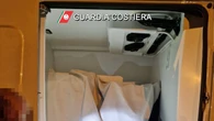 Sequestrato carico illegale di granchi blu a Monfalcone