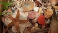 Tornano sulle spiagge sarde 900 kg di sabbia e conchiglie rubati