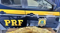 Brasile, sequestro record di 103 chili d'oro in Amazzonia