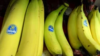 Big delle banane Chiquita farà licenziamenti di massa a Panama