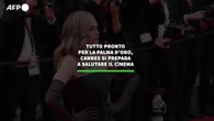 Tutto pronto per la Palma d'Oro, Cannes si prepara a salutare il cinema