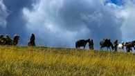 Riprese della Fox, sul Gran Sasso spuntano i cammelli
