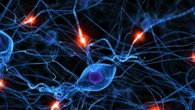 Scoperte le spie molecolari di Alzheimer e Parkinson