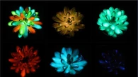 Piante grasse brillano al buio in vari colori, come in Avatar