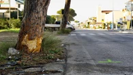 Grave incidente stradale sull'Ardeatina, 1 morto e 4 feriti