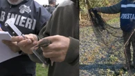Forestale, traffico illegale uccelli da richiamo, 9 indagati