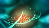 I geni materni plasmano il peso dei figli anche quando non vengono ereditati