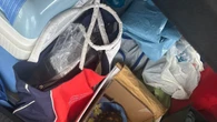 Rubano una tartaruga e sassi da spiagge, turisti fermati a Olbia