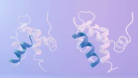 Costruita la prima proteina artificiale capace di cambiare forma