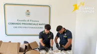 Sequestrato carico di droga tra farina e pasta diretta negli Usa