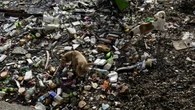 Guterres, 'serve un accordo ambizioso sulla plastica'