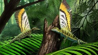 Un piccolo rettile con piume mai viste fa riscrivere l'evoluzione