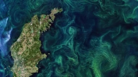 La fotosintesi sta aumentando a livello globale