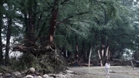 Alzato livello allerta inondazioni in alcune zone del Texas