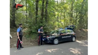 Spaccio nei boschi del Viterbese, decine di arresti