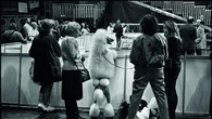 Elliott Erwitt, maestro di leggerezza e ironia