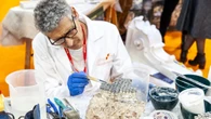 Al via la 30/a edizione di 'Restauro', tra storia e innovazione