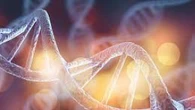 Uno studio italiano getta nuova luce sulla comprensione dell'autismo